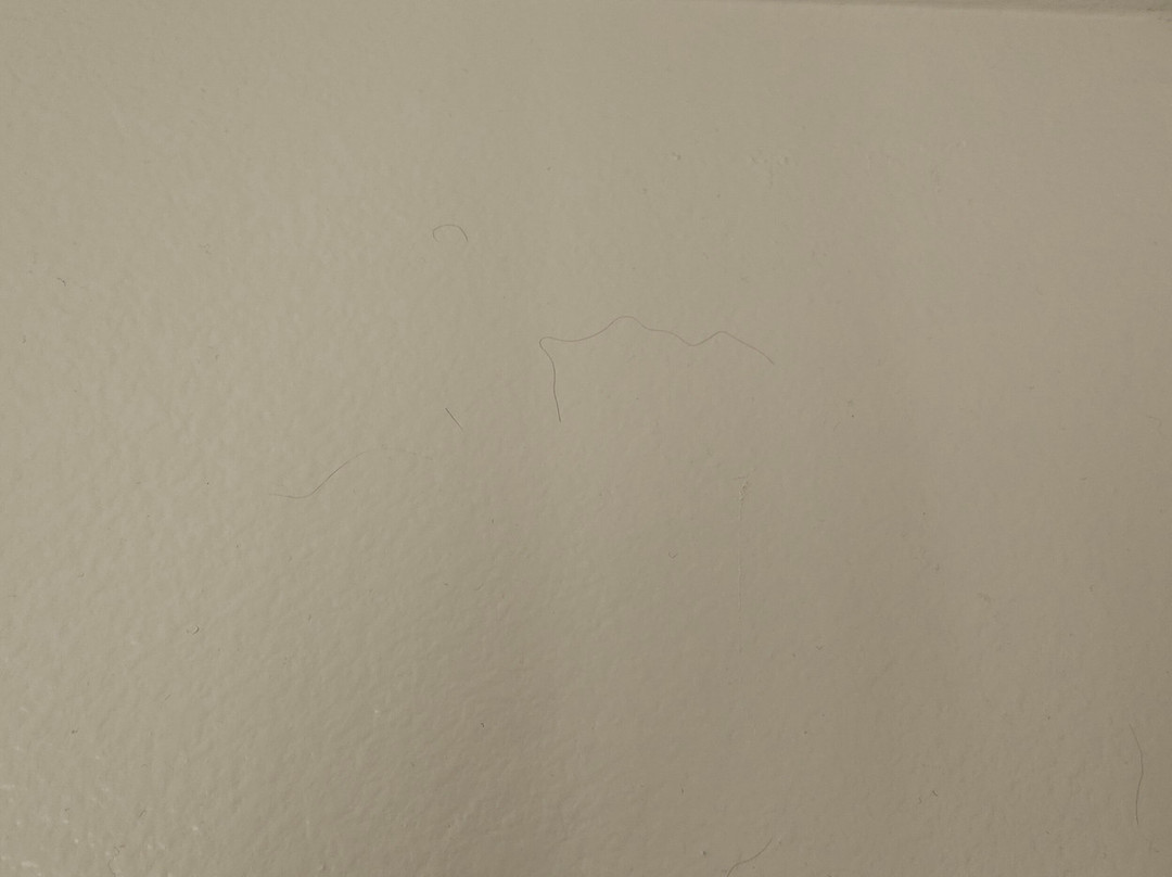 Hilton Garden Inn Longmont主图