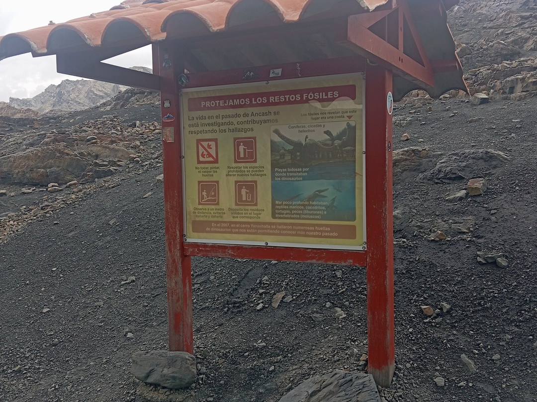 Nevado Pastoruri-瓦拉斯必去景点