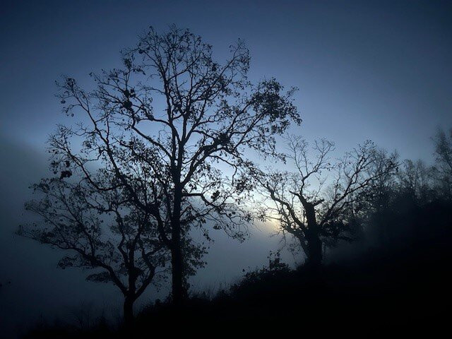 The White River Inn主图