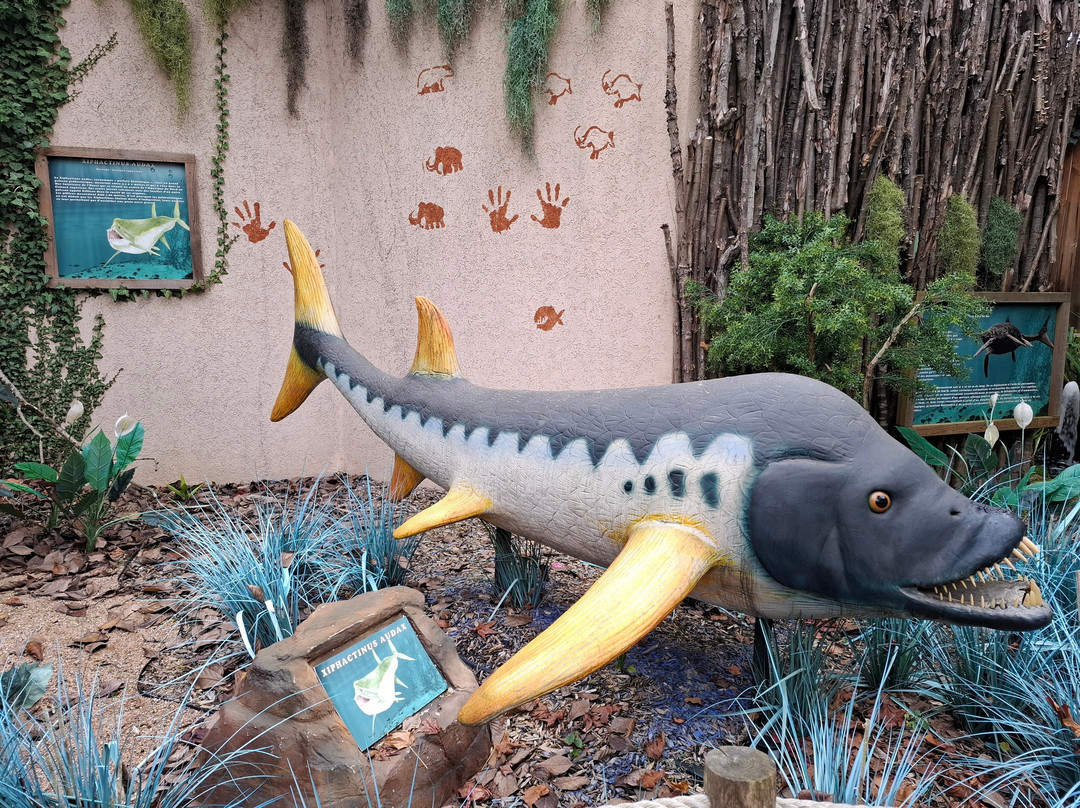 Aquarium d'Amneville景点图片