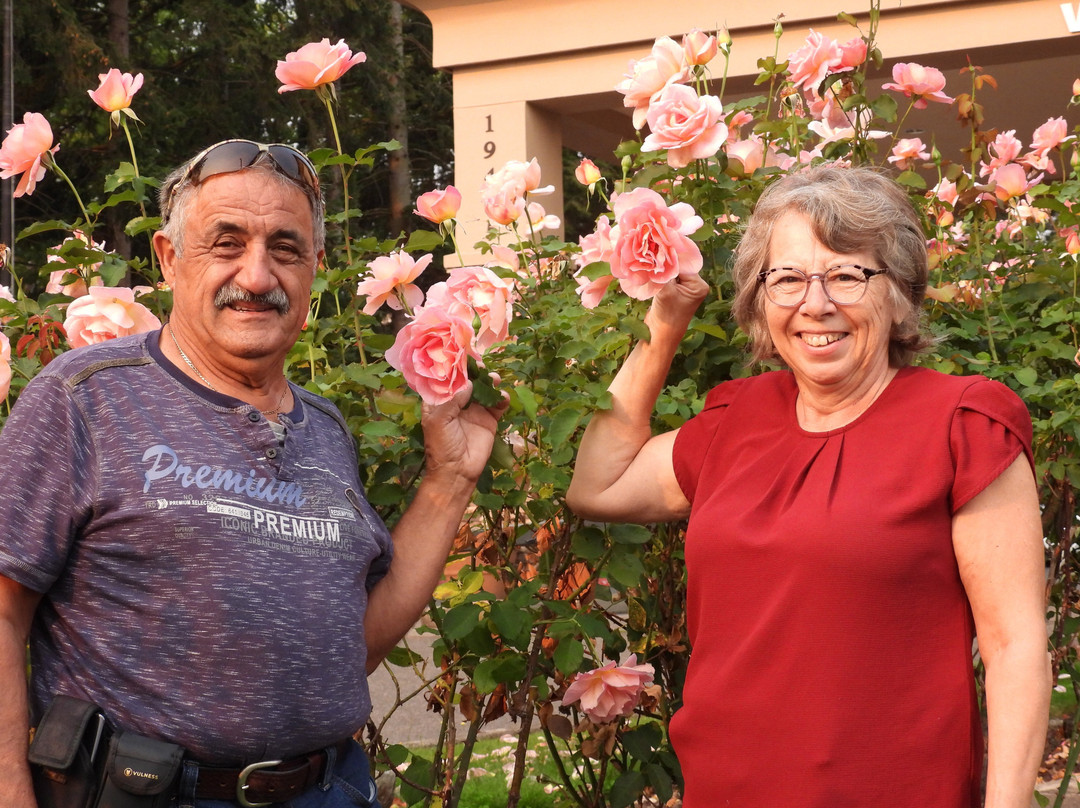 Dream Vacation Tours-蒙古顿必去景点