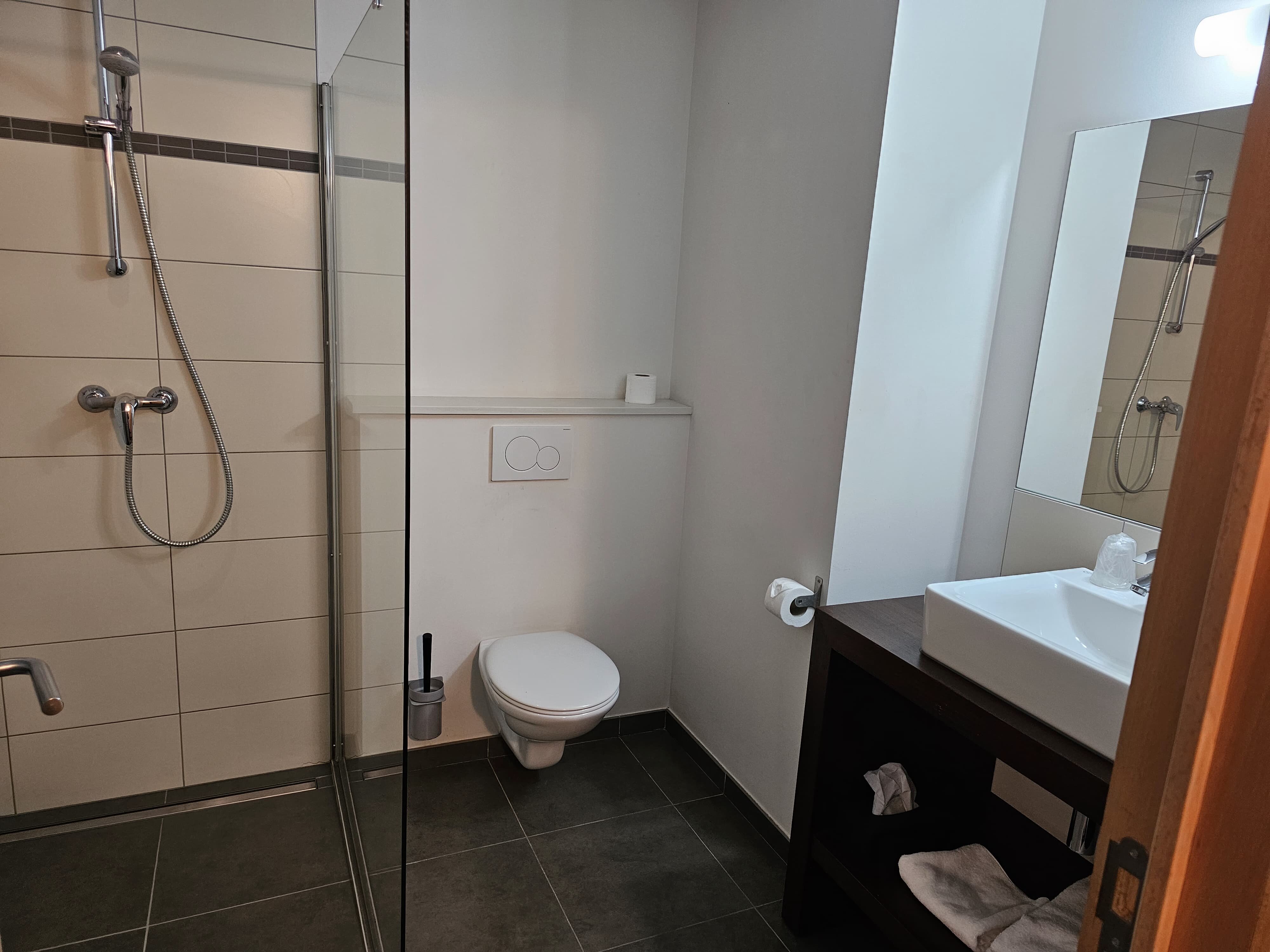 Hotel Saint Daniel-浴室