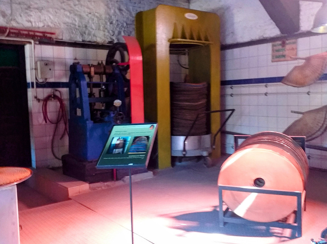 Adatepe Olive Oil Museum景点图片