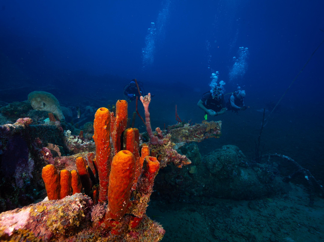 NAUTILUS DIVE CENTER ARUBA-萨瓦内塔必去景点