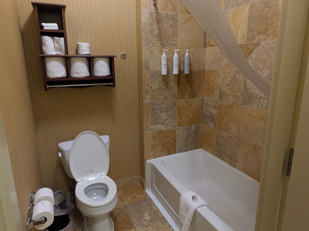 法戈希尔顿恒庭旅馆&套房酒店主图