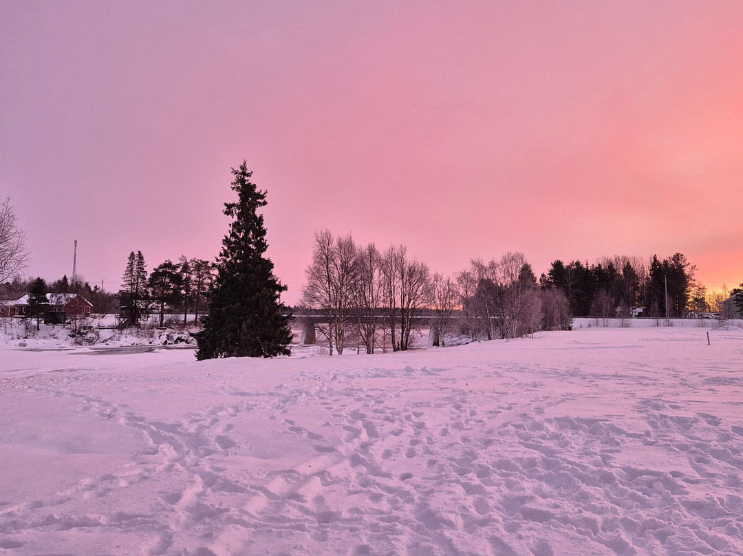 Ounaskievari Reindeer Farm-Kongas必去景点