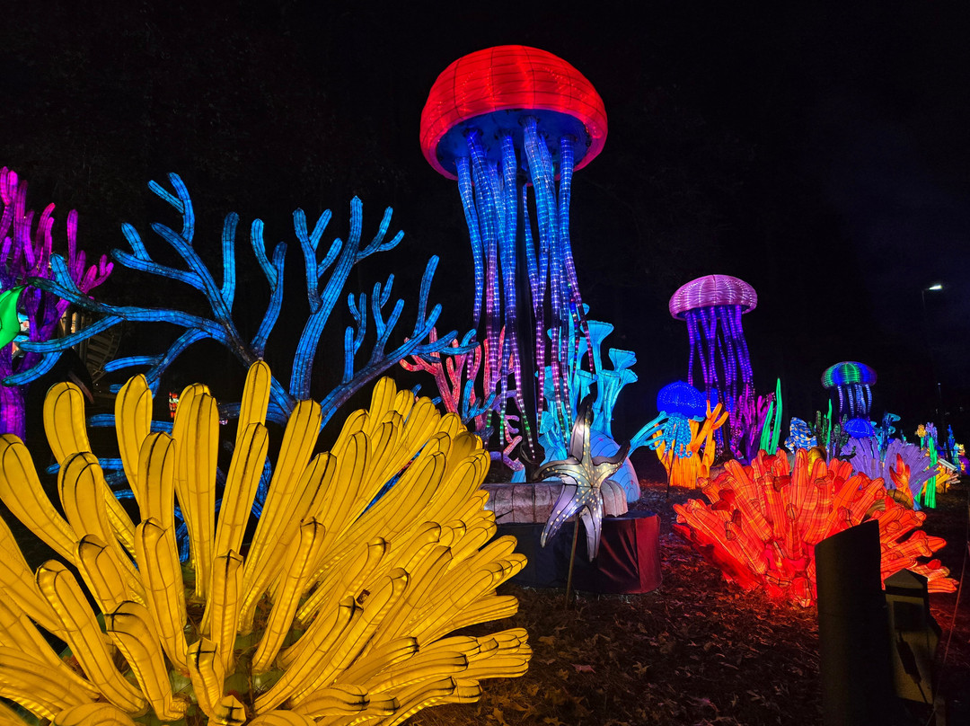North Carolina Chinese Lantern Festival景点图片