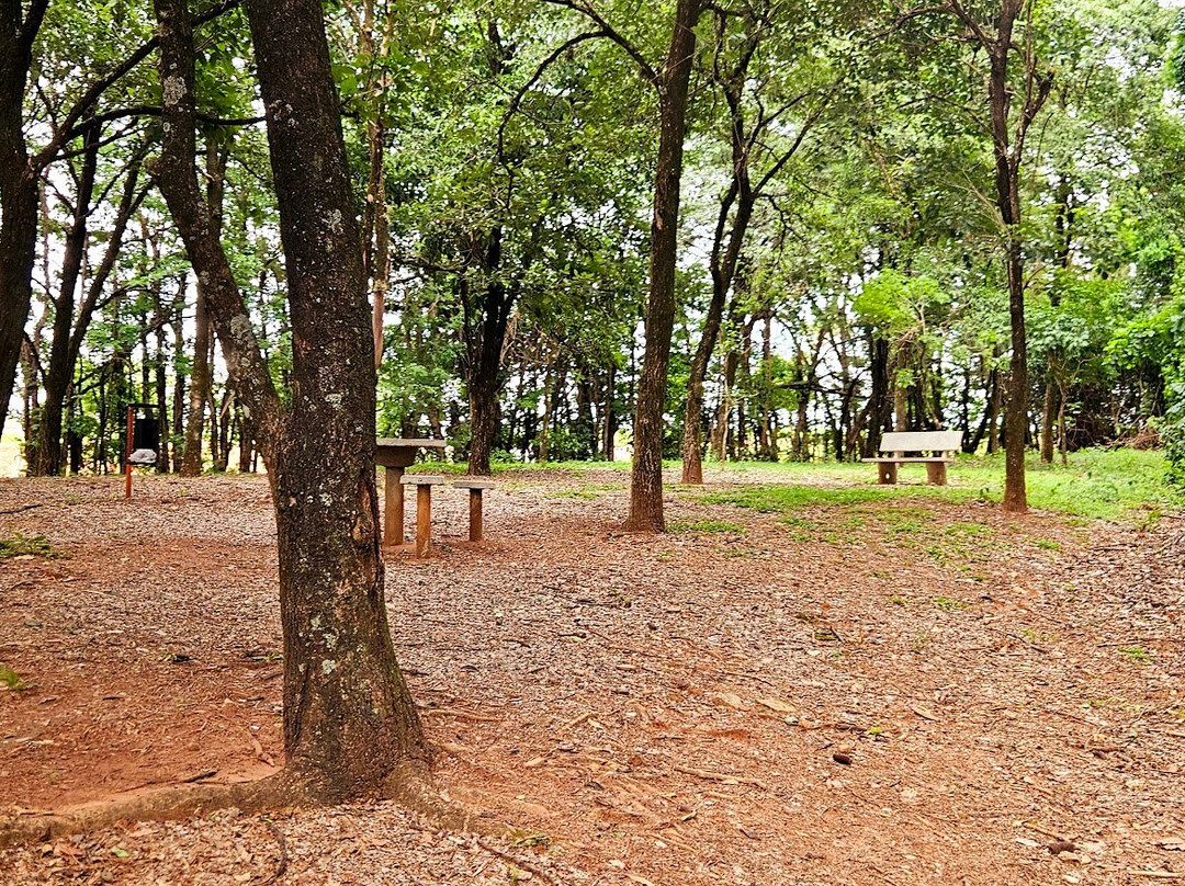 Bosque Municipal Rangel Pietraroia景点图片