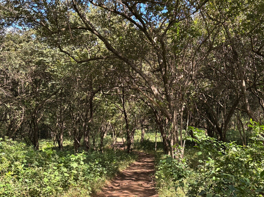 Groovy's Advenutres-Coco必去景点