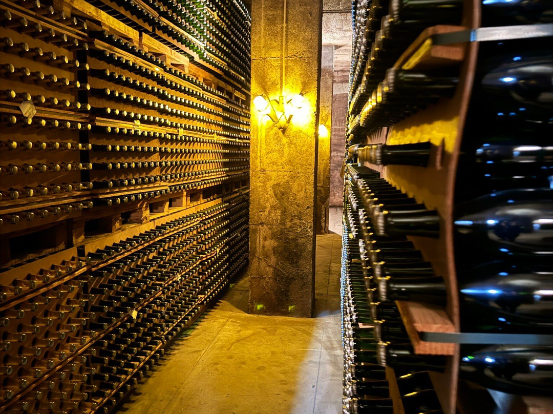 Sabate i Coca - Castellroig景点图片