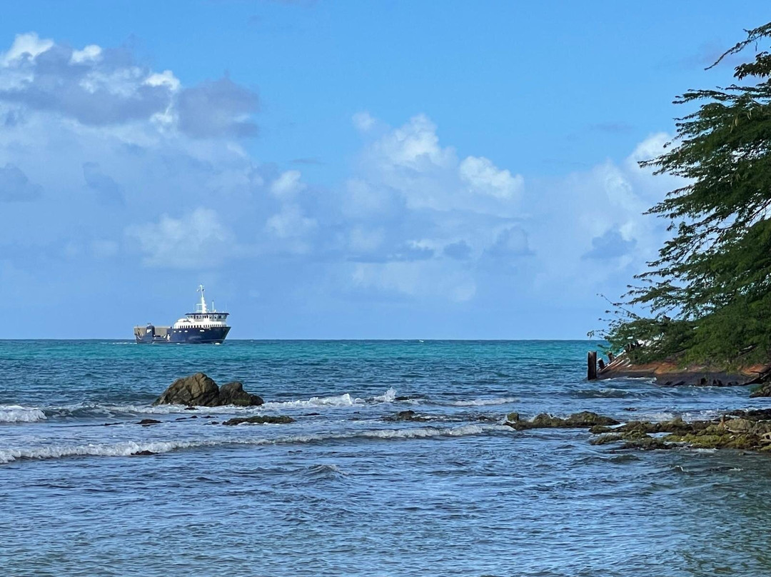 Vieques Ferry Terminal景点图片