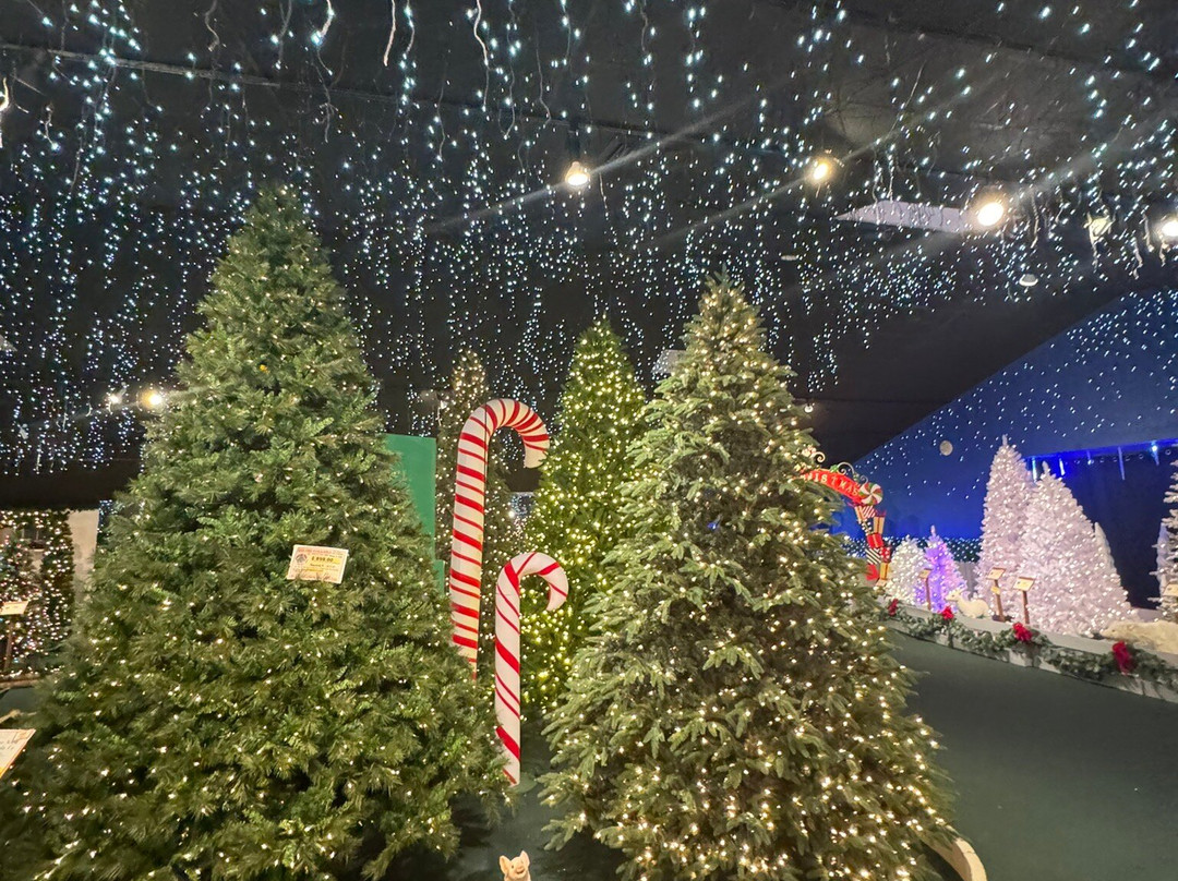 Robert's Christmas Wonderland-克利尔沃特必去景点