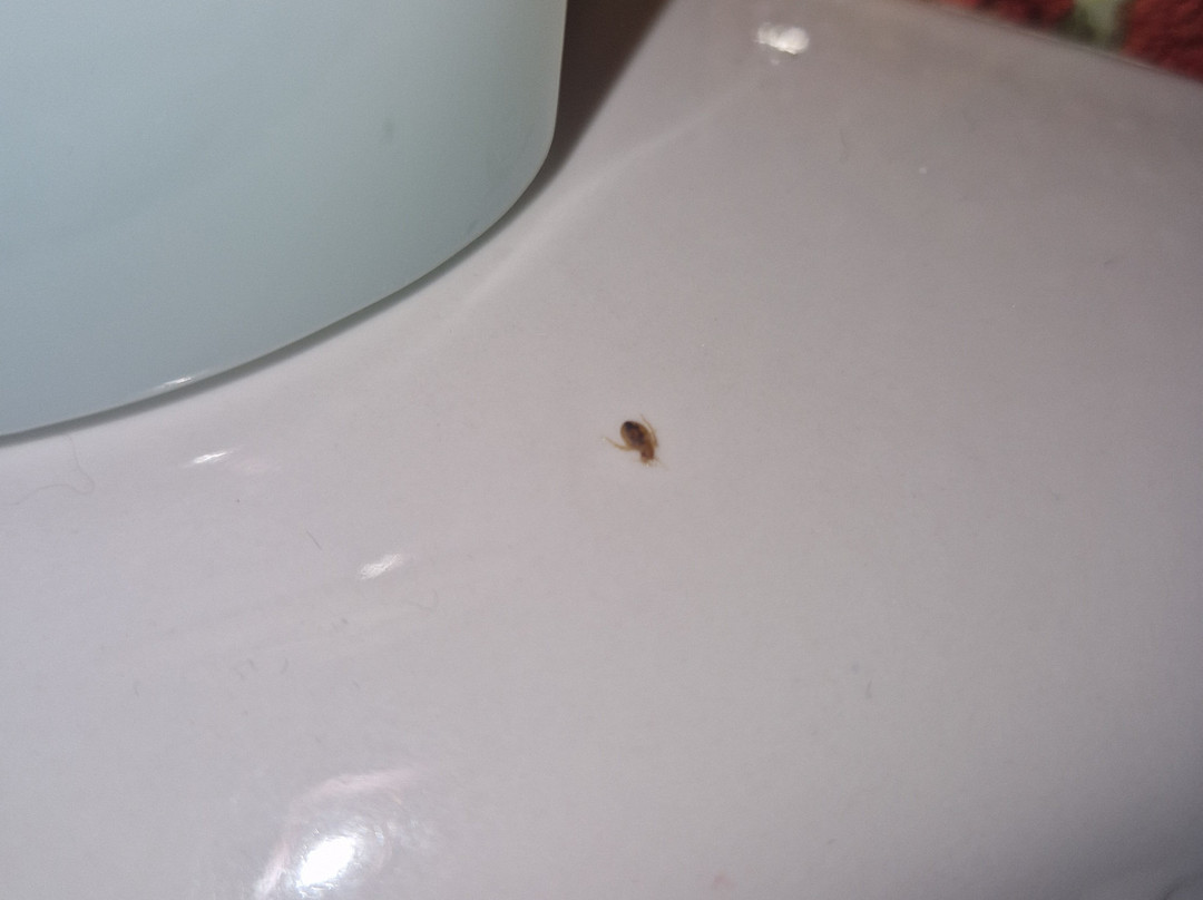 Hospedaxe Carragal主图