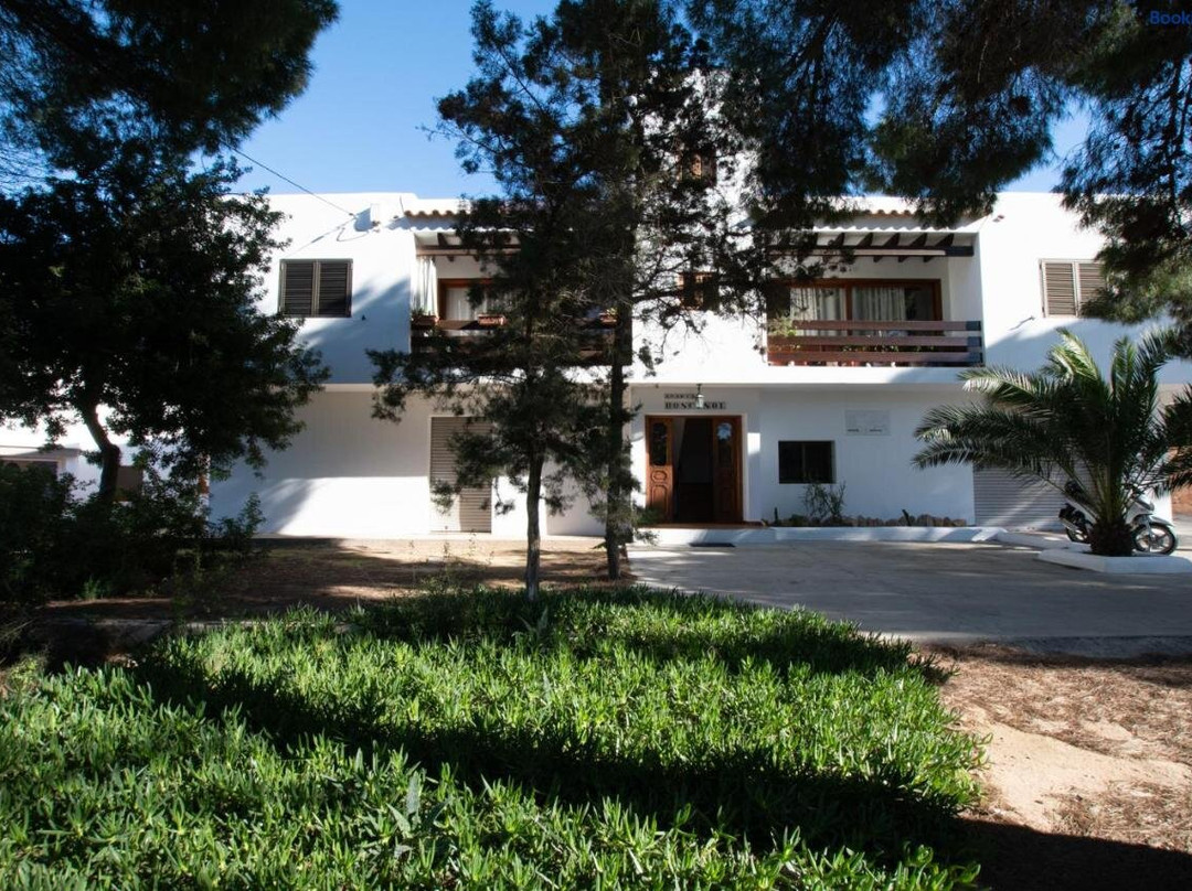 Bosc y Sol - Formentera Libre