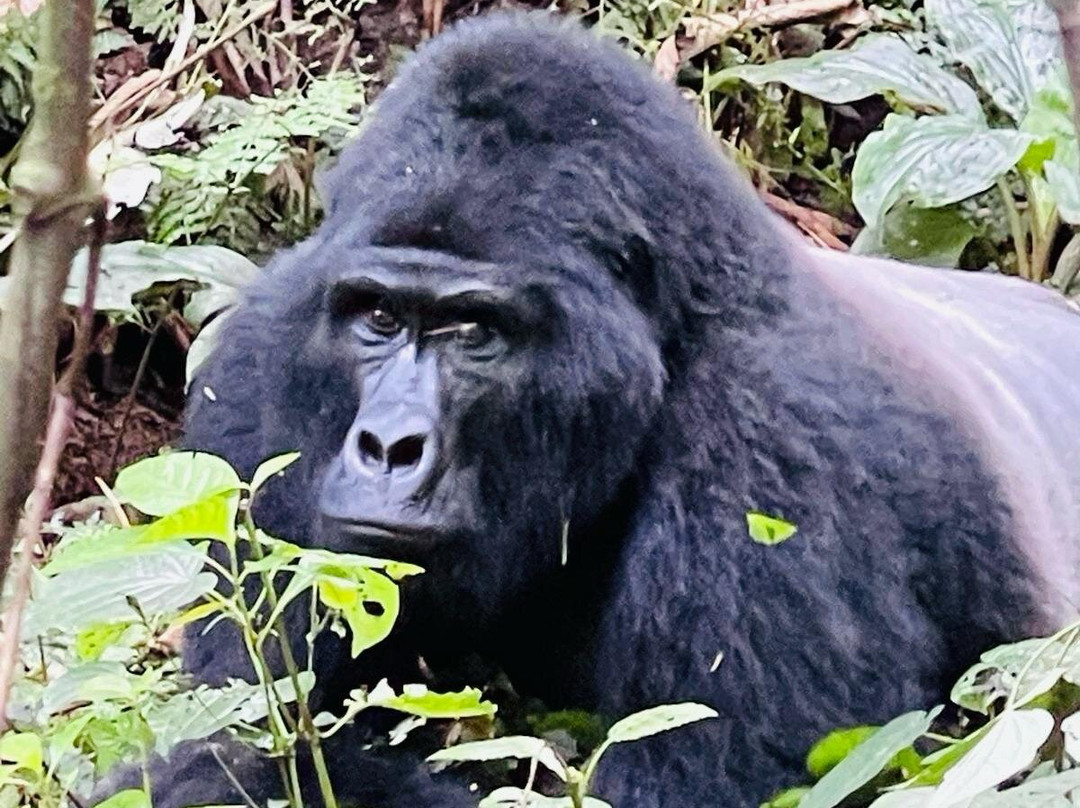 Bright Safaris Uganda-Mbale必去景点
