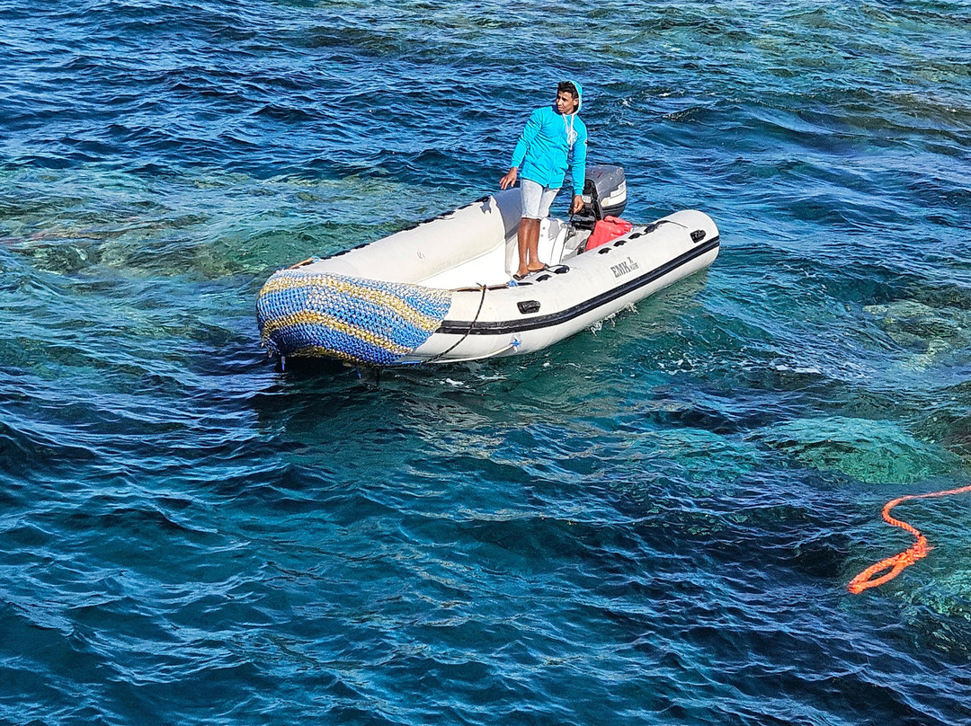 Ducks Diving Safaga-Safaga必去景点