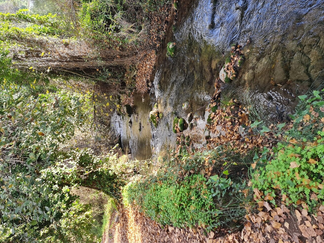 Sendero Rio Majaceite景点图片