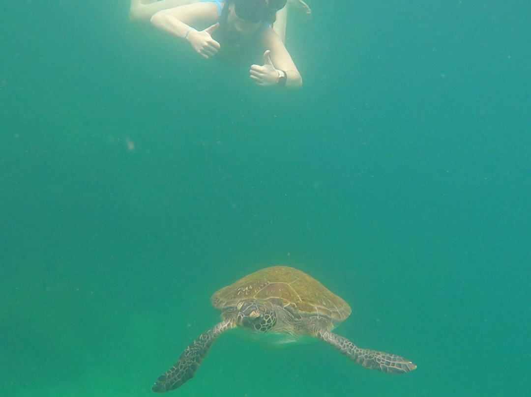 Acqua Jungle Ilha Grande-Vila do Abraao必去景点