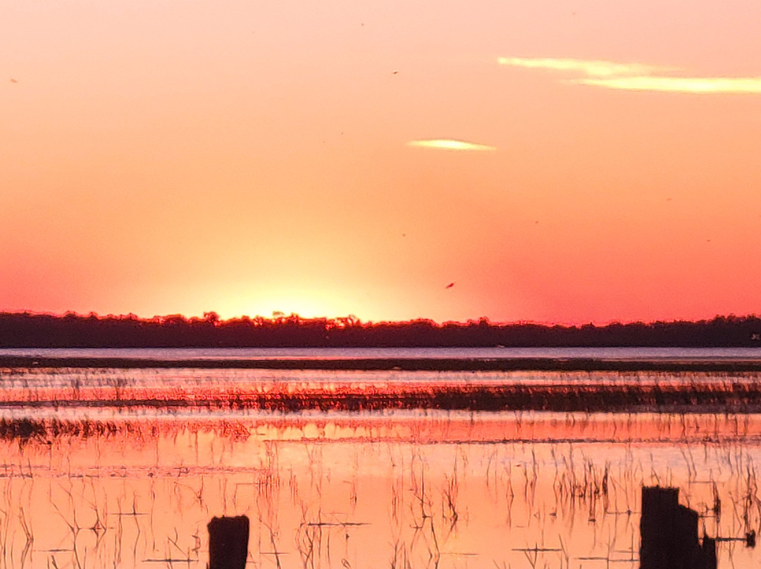 Boggy Creek Airboat Adventures-基西米必去景点