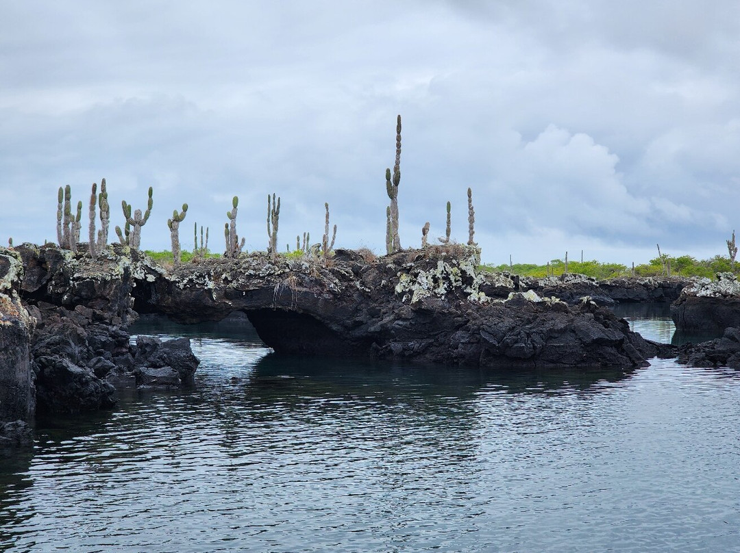 Galapagos Path景点图片