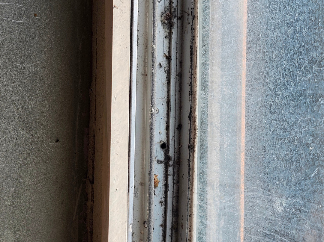 Super 8 by Wyndham Erie / I 90主图