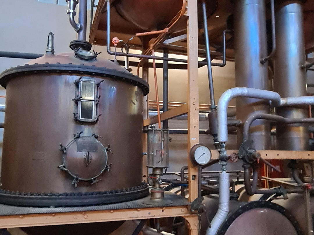 Van Ryn's Distillery and Brandy Cellar-斯泰伦博斯必去景点