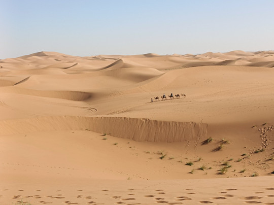 Bigma Tours-迈哈米德必去景点