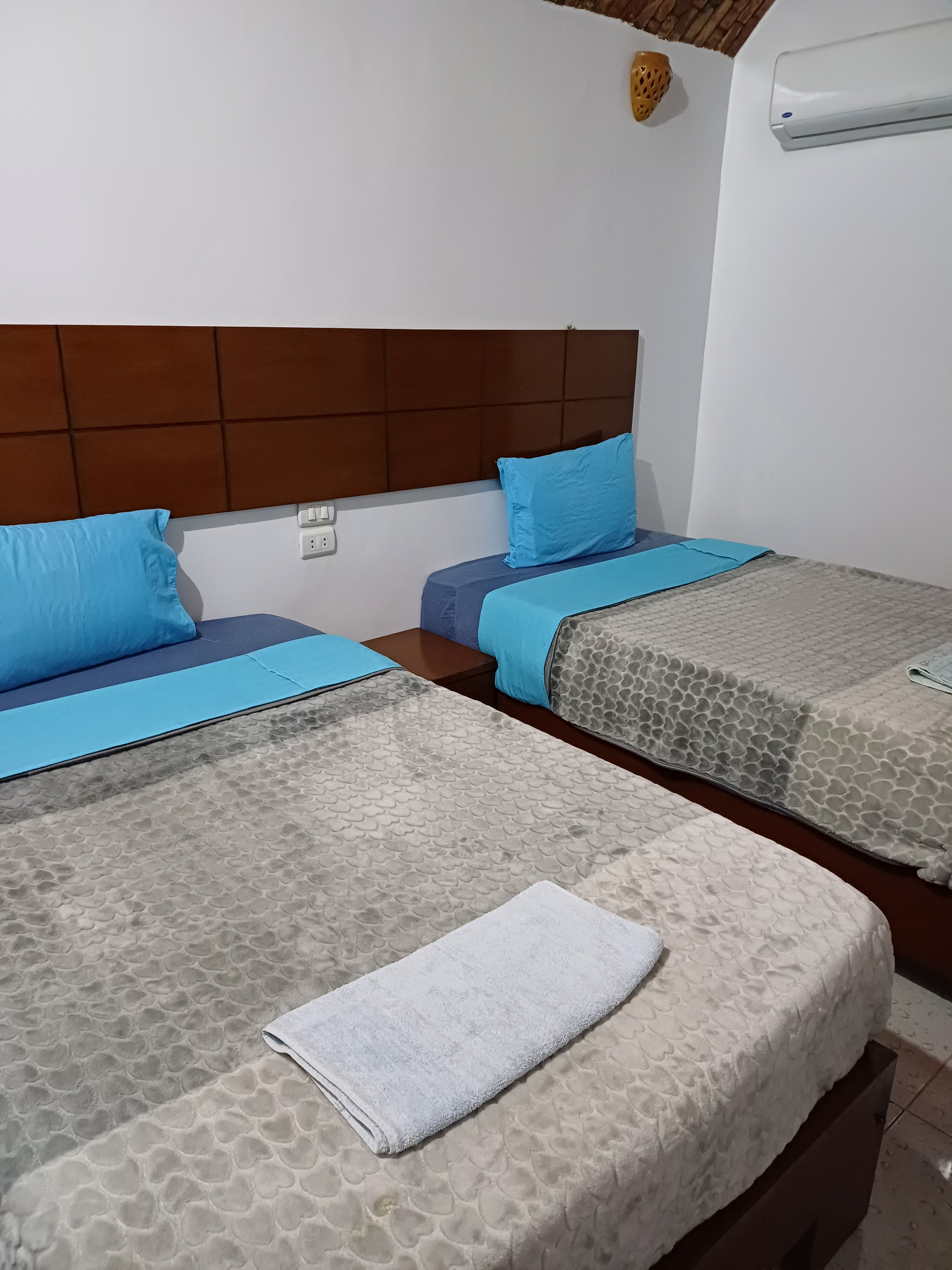 Jamaica Guest House-客卧