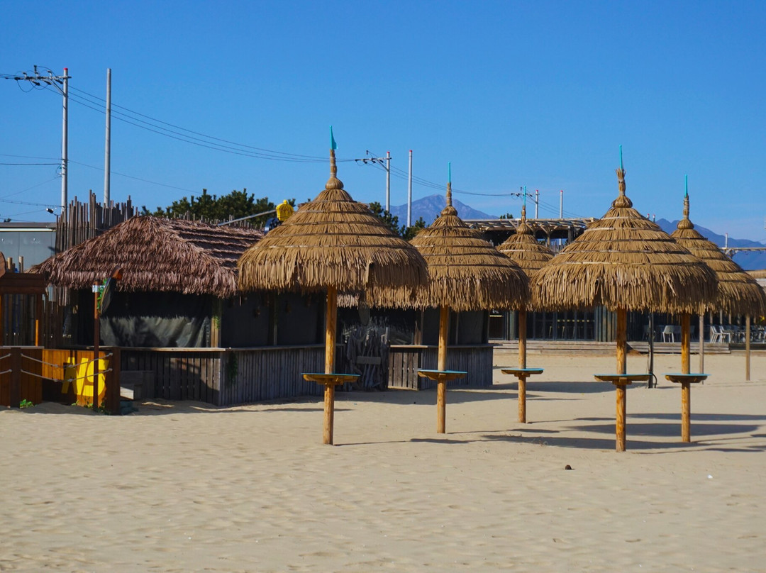 Surfyybeach-襄阳郡必去景点