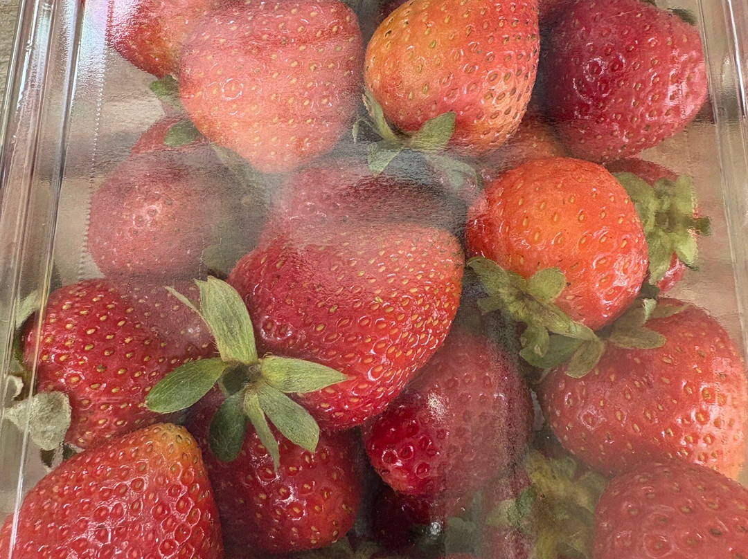 Rocky Creek Strawberry Farm景点图片