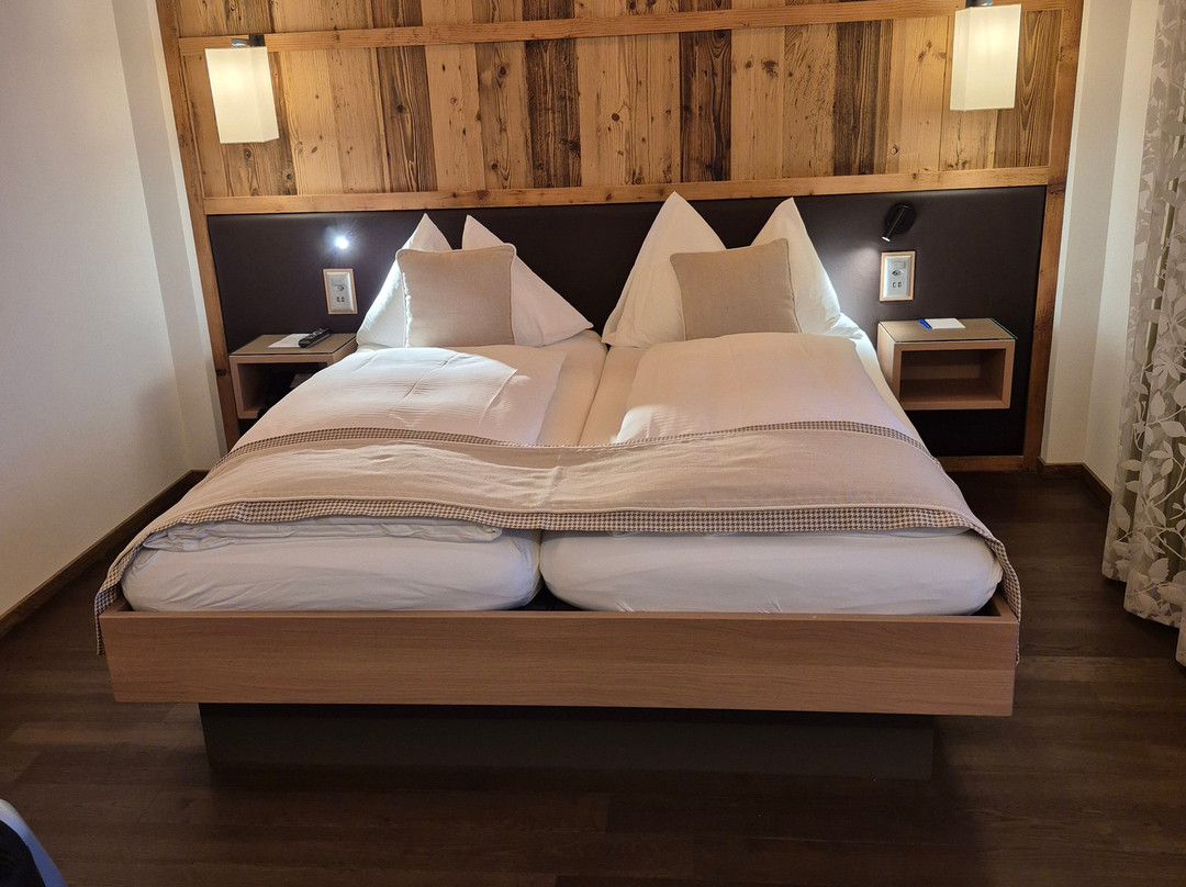 Adler Adelboden主图