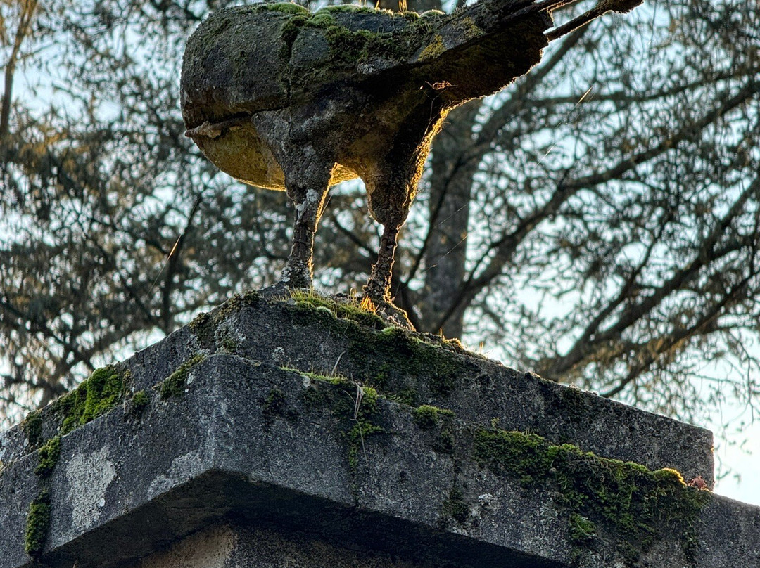 Parco Del Ticino景点图片