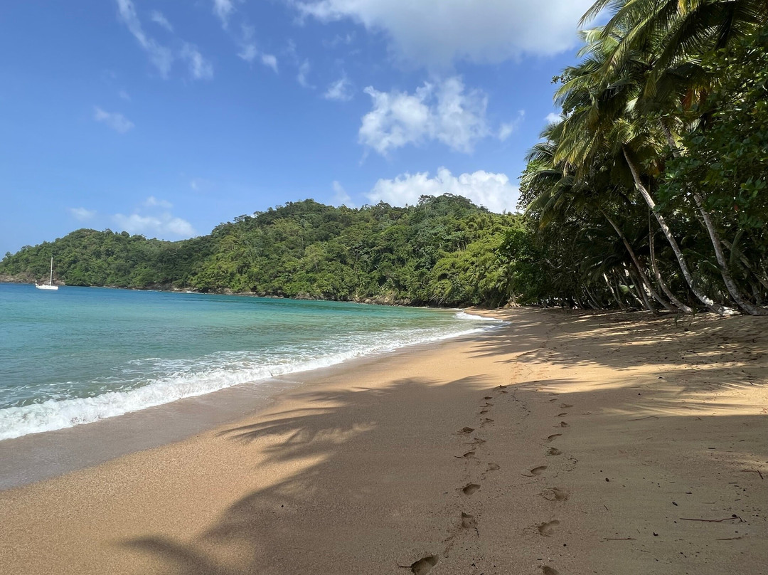 Englishman's Bay-多巴哥必去景点