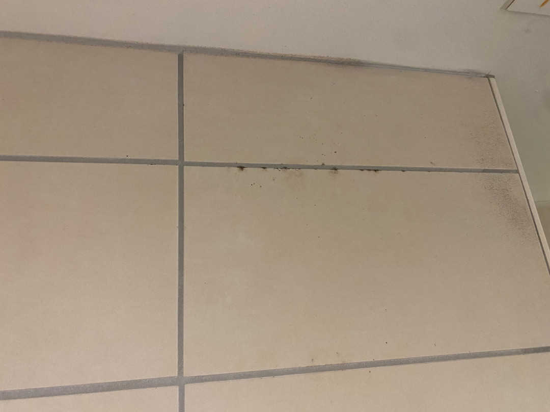 SpringHill Suites by Marriott Green Bay主图