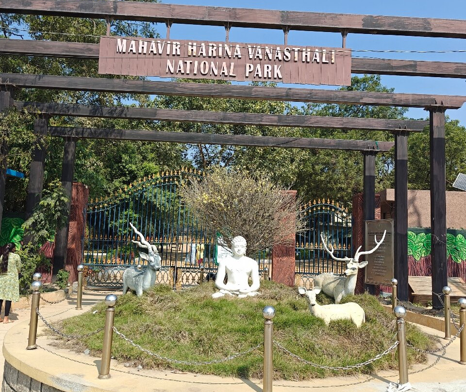 Mahavir Harina Vanasthali National Park景点图片