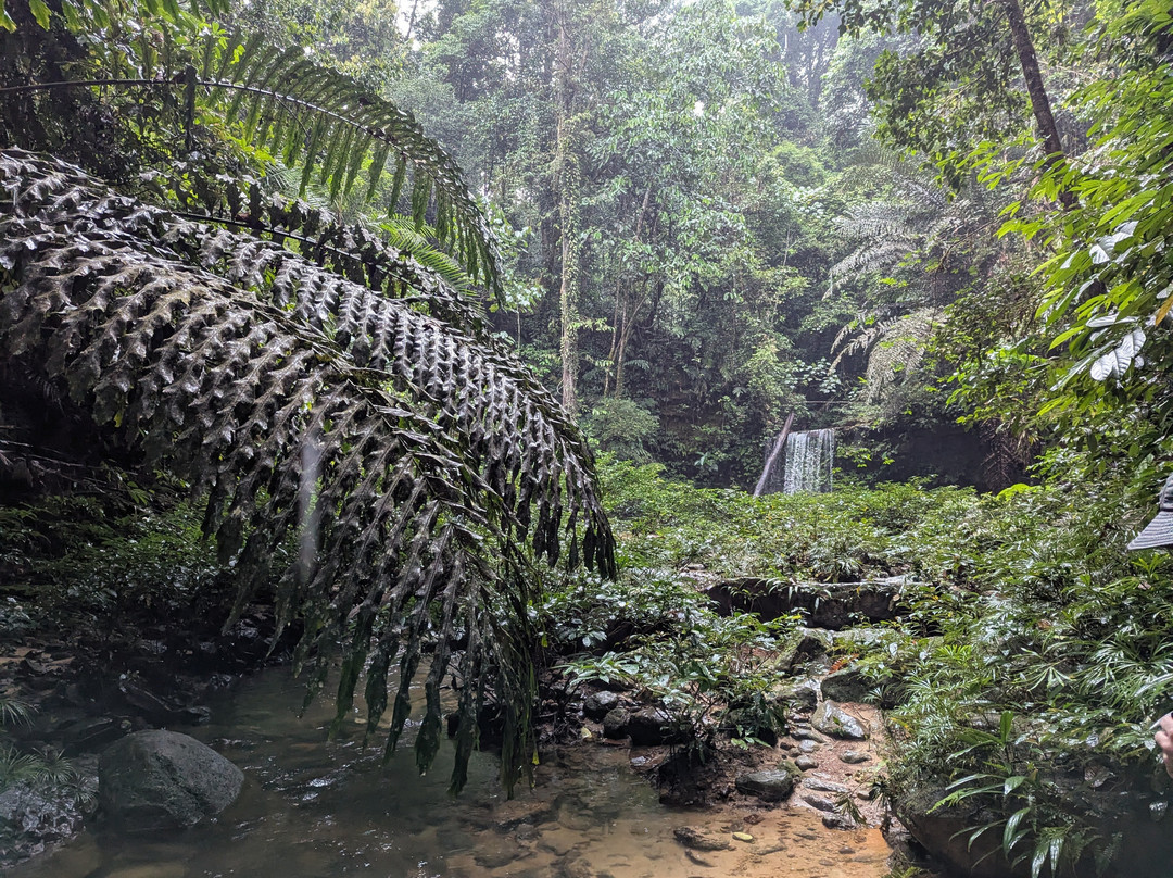 Teraja Waterfall-赛瑞亚必去景点