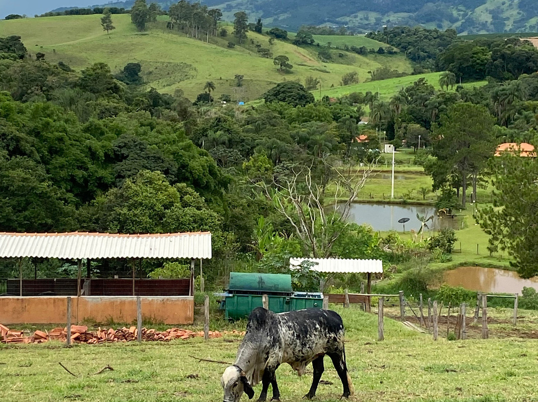 Hotel Dona Paschoalina主图