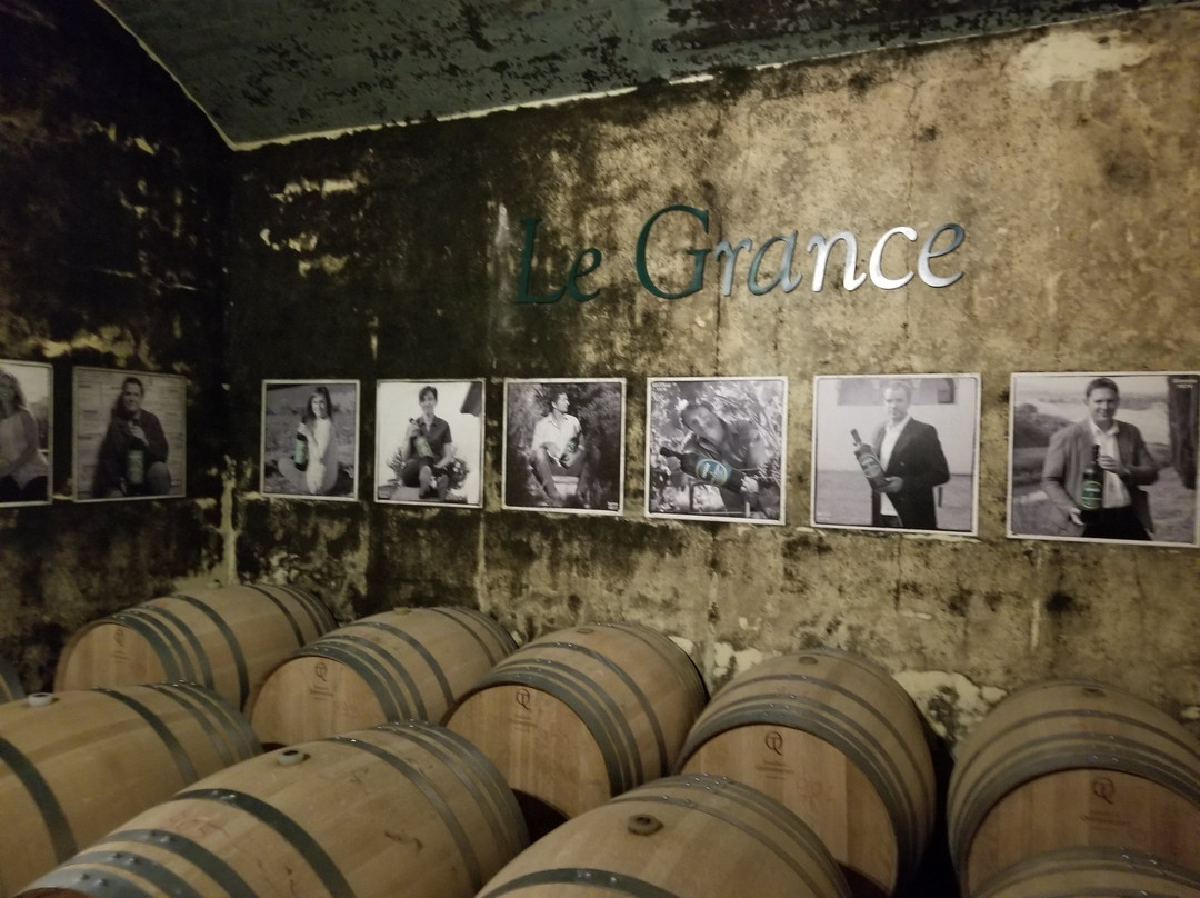 Caparzo Winery-蒙塔尔奇诺必去景点
