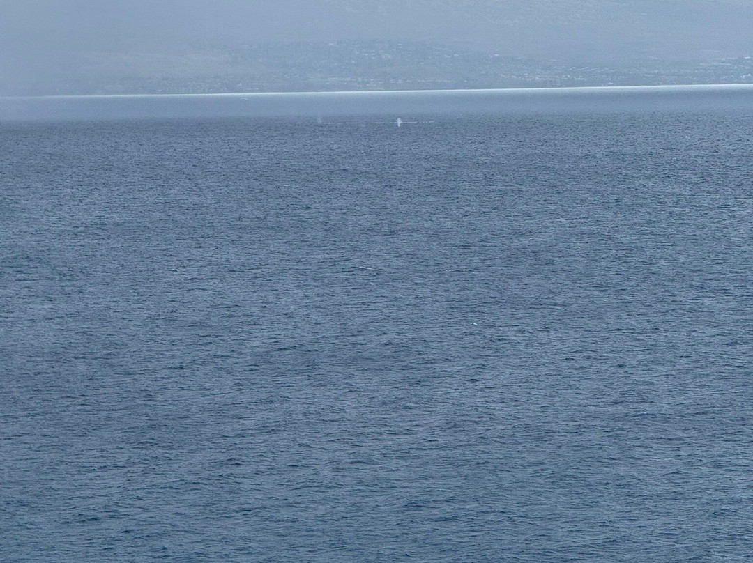 Papawai Scenic Lookout-拉海纳必去景点