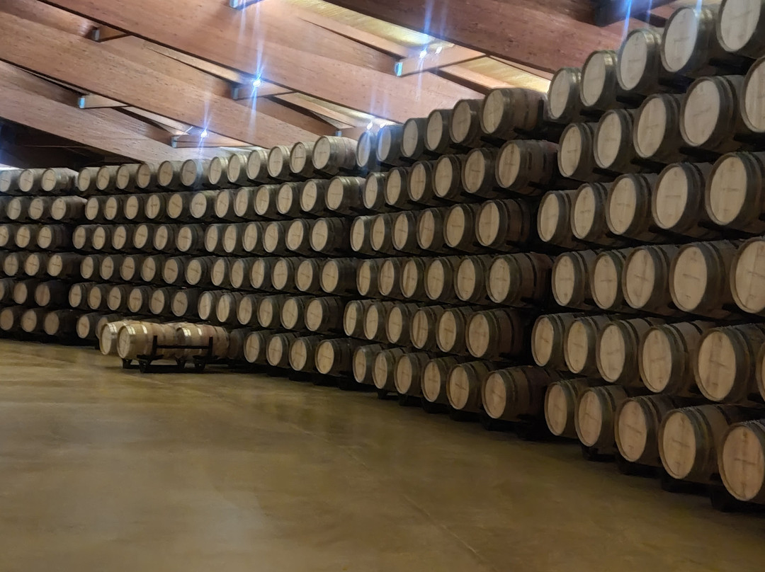 Bodega Viña Arnáiz景点图片