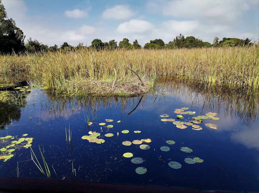 Garden Route Botanical Garden-乔治必去景点