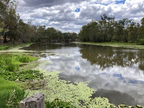 Tahbilk Wetlands And Wildlife Reserve