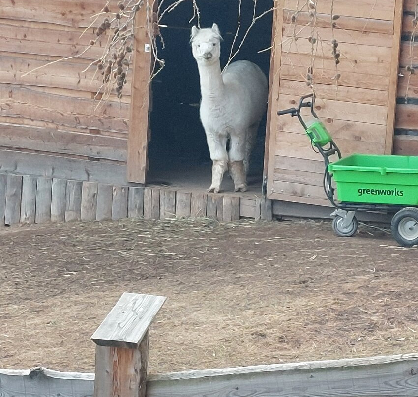 Belvedere B & B主图