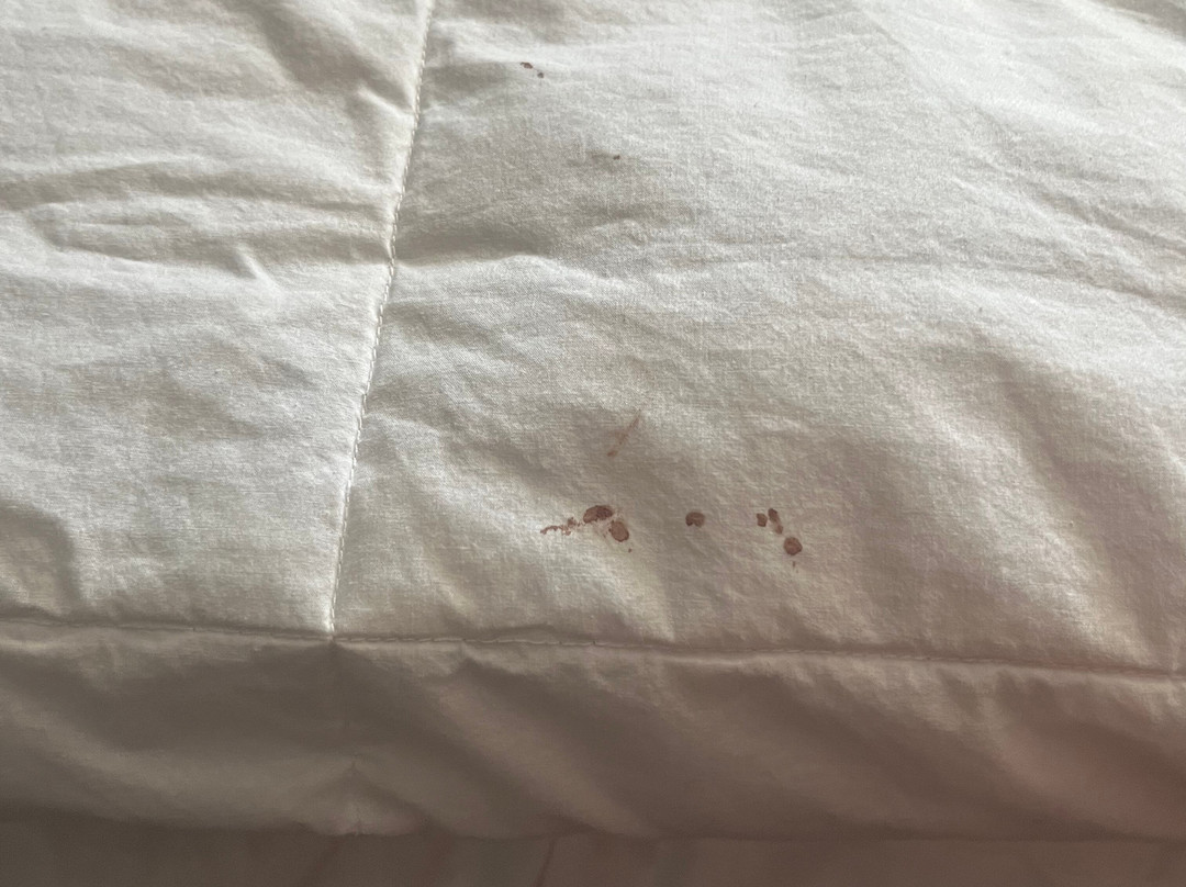 Hyatt Place Houston/Sugar Land主图