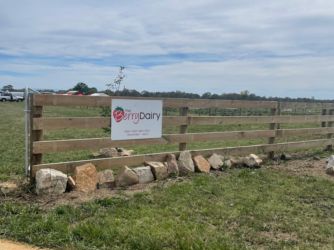 The Berry Dairy-Maffra必去景点