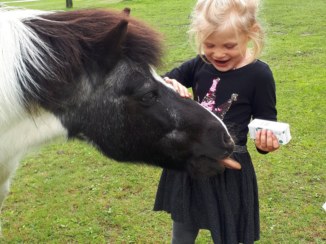 Bio Bauernhof Knaller主图