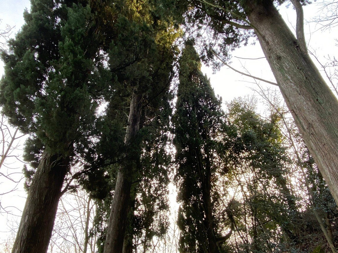 Avigliana's castle景点图片