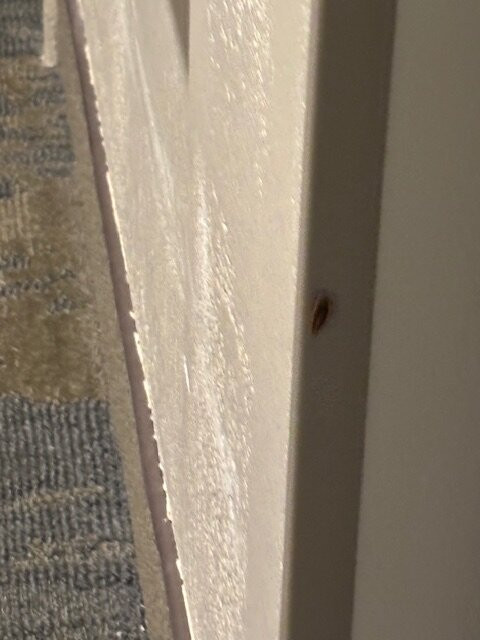 Holiday Inn Metairie New Orleans By IHG主图