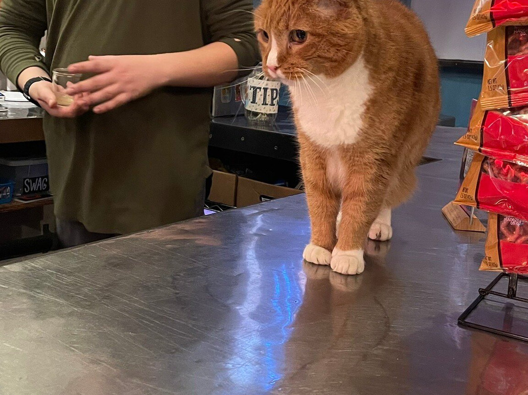 Rockaway Brewing Company-长岛市必去景点