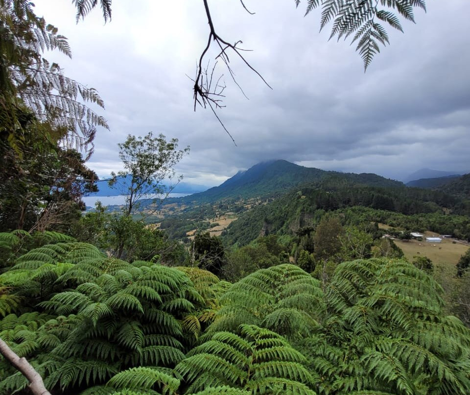 Parque Panoramico Lago Ranco-Lago Ranco必去景点